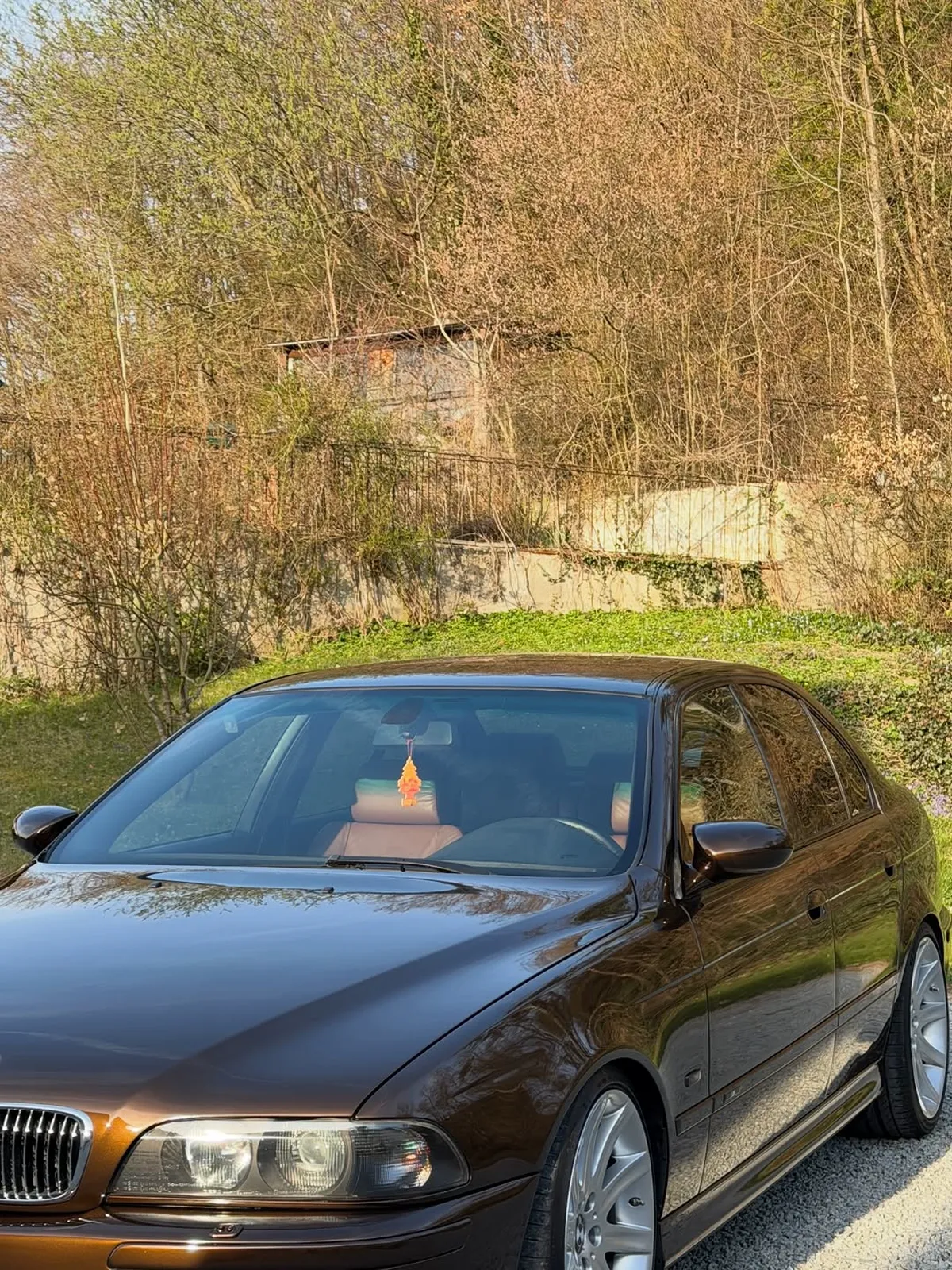 Innenreinigung ShinyCare